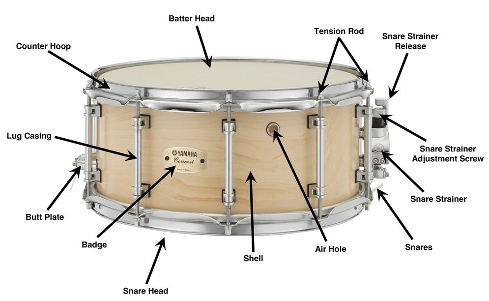 https://hub.yamaha.com/drums/anatomy-of-a-snare-drum/